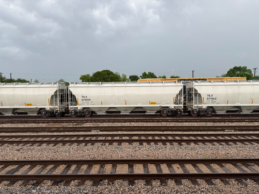 TILX 571559